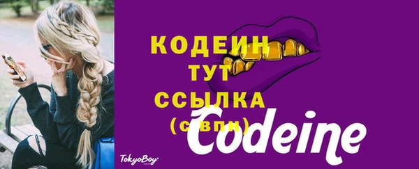 прущий лед Нея