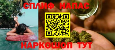 прущие грибы Усть-Илимск