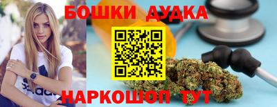 прущие грибы Усть-Илимск
