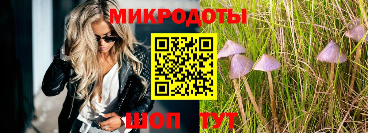 Галлюциногенные грибы MAGIC MUSHROOMS  Вход с VPN  Мытищи  даркнет сайт  Галлюциногенные грибы MAGIC MUSHROOMS 
