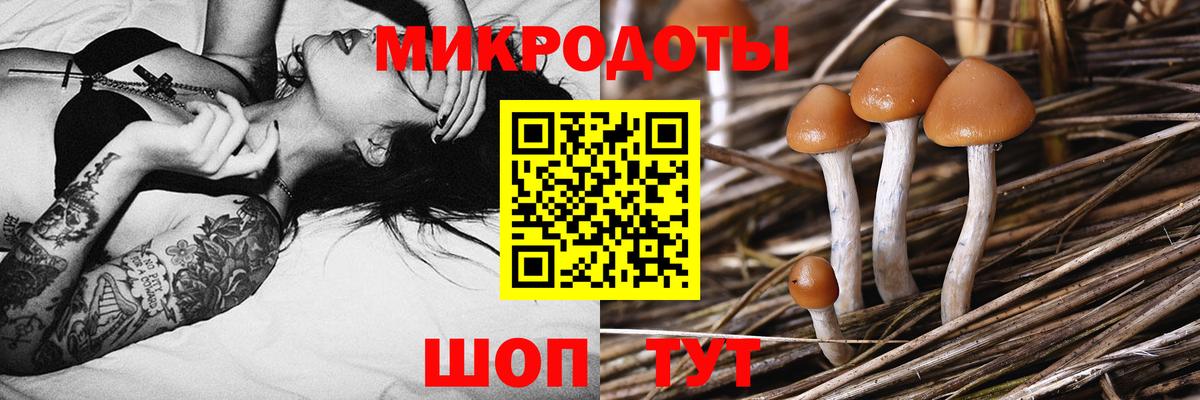 Псилоцибиновые грибы Cubensis Мытищи